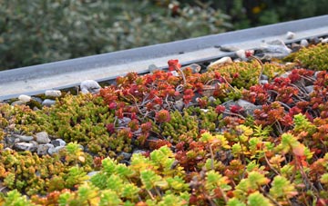 the cost of Shalfleet green roof installation