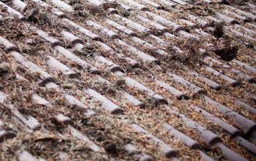 Shalfleet roof cleaning companies