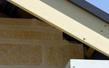 soffit repair Shalfleet
