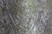 Shalfleet fibreglass roof work